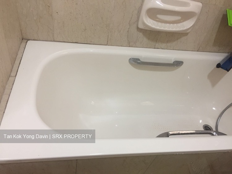 Carissa Park Condominium (D17), Condominium #177810182